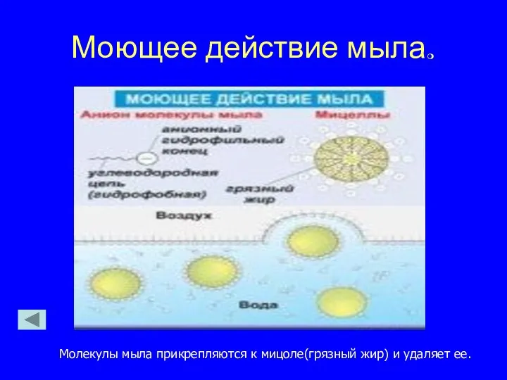 Моющее действие мыла. Молекулы мыла прикрепляются к мицоле(грязный жир) и удаляет ее.