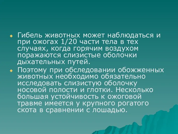 Гибель животных может наблюдаться и при ожогах 1/20 части тела в тех случаях,