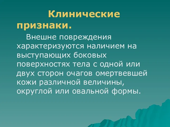 Клинические признаки. Внешне повреждения характеризуются наличием на выступающих боковых поверхностях тела с одной