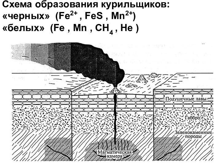 Схема образования курильщиков: «черных» (Fe2+ , FeS , Mn2+) «белых»