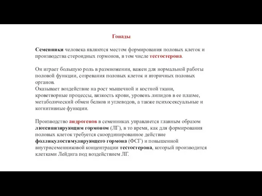 Гонады Семенники человека являются местом формирования половых клеток и производства стероидных гормонов, в