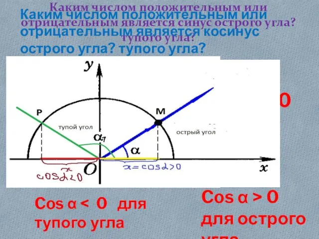 Каким числом положительным или отрицательным является синус острого угла? тупого