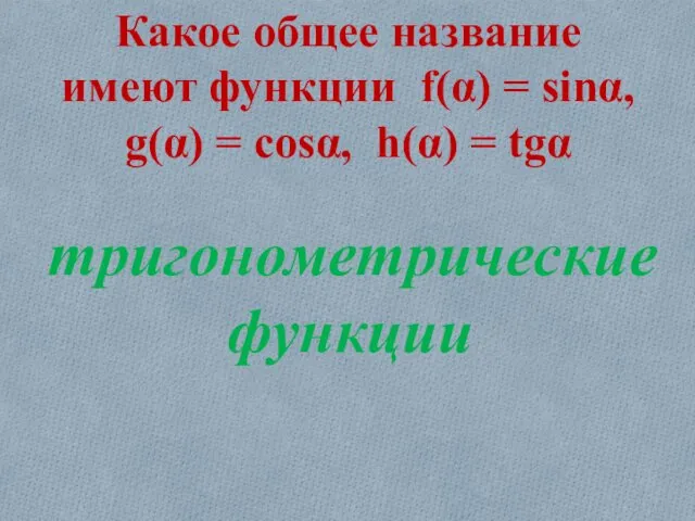 Какое общее название имеют функции f(α) = sinα, g(α) = cosα, h(α) = tgα тригонометрические функции