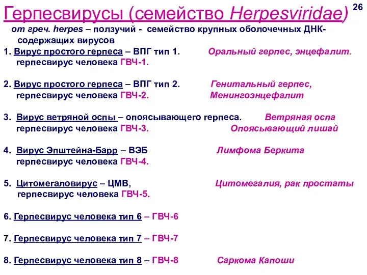 Герпесвирусы (семейство Herpesviridae) от греч. herpes – ползучий - семейство крупных оболочечных ДНК-содержащих