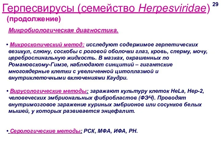 Герпесвирусы (семейство Herpesviridae) (продолжение) 29 Микробиологическая диагностика. Микроскопический метод: исследуют содержимое герпетических везикул,