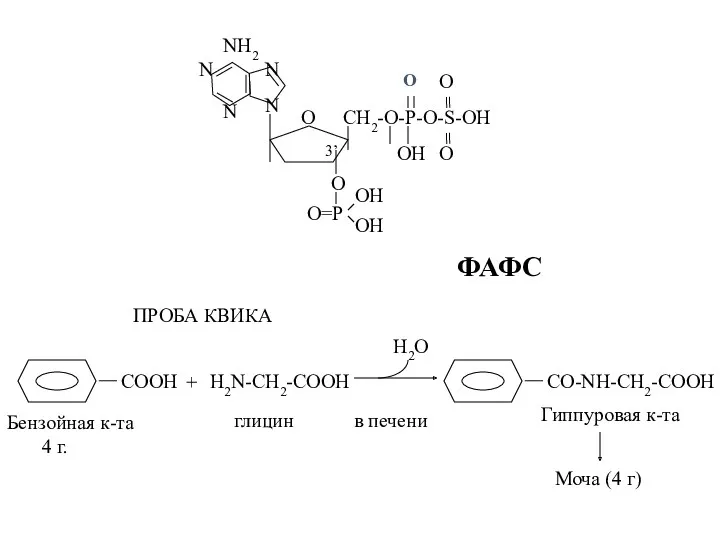ФАФС ПРОБА КВИКА H2N-CH2-COOH Бензойная к-та 4 г. глицин в