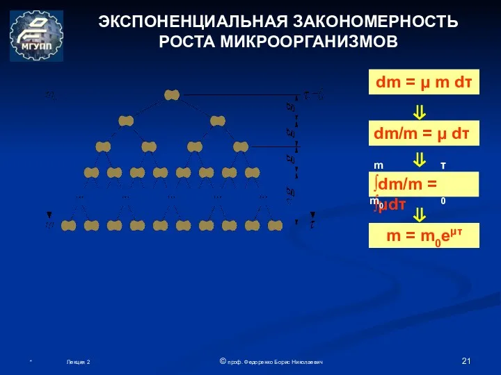 * Лекция 2 © проф. Федоренко Борис Николаевич ЭКСПОНЕНЦИАЛЬНАЯ ЗАКОНОМЕРНОСТЬ