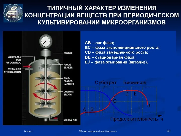 ТИПИЧНЫЙ ХАРАКТЕР ИЗМЕНЕНИЯ КОНЦЕНТРАЦИИ ВЕЩЕСТВ ПРИ ПЕРИОДИЧЕСКОМ КУЛЬТИВИРОВАНИИ МИКРООРГАНИЗМОВ АB