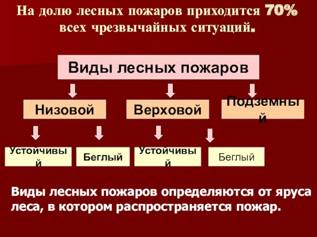 Виды лесных пожаров определяются от яруса леса, в котором распространяется