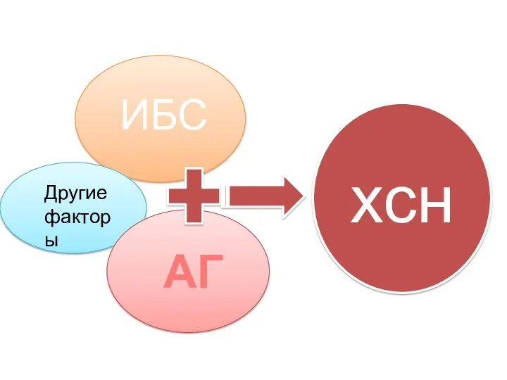 ИБС Другие факторы АГ хсн