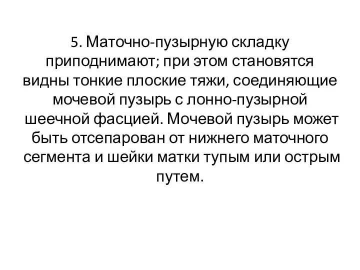 5. Маточно-пузырную складку приподнима­ют; при этом становятся видны тонкие плоские