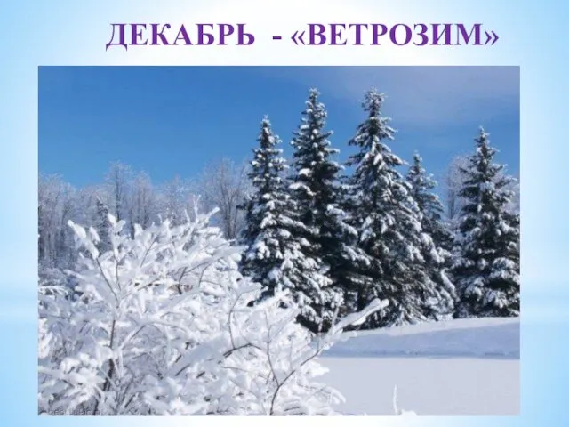 ДЕКАБРЬ - «ВЕТРОЗИМ»