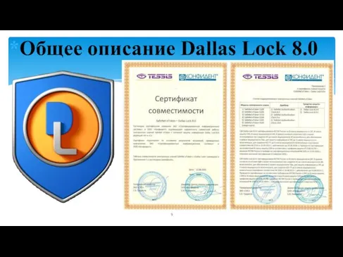 Общее описание Dallas Lock 8.0