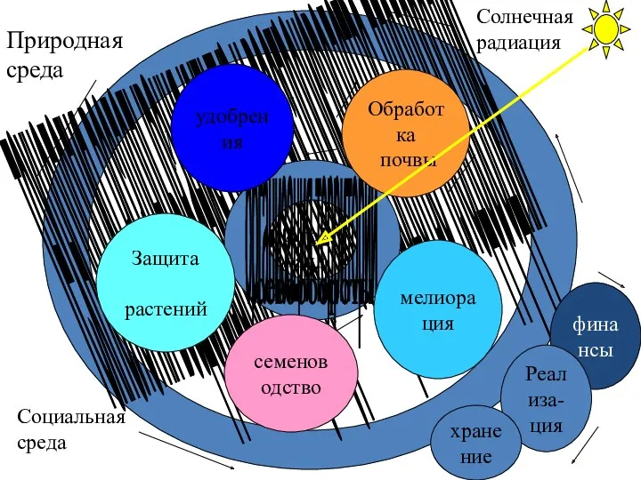 технология возделывания культур и воспроизводство плодородия Агро- ланд. организация территории