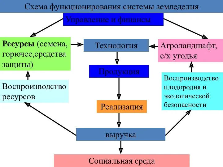 Схема функционирования системы земледелия Управление и финансы Ресурсы (семена,горючее,средства защиты)