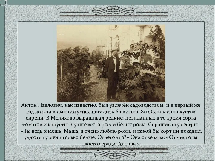Антон Павлович, как известно, был увлечён садоводством и в первый же год жизни
