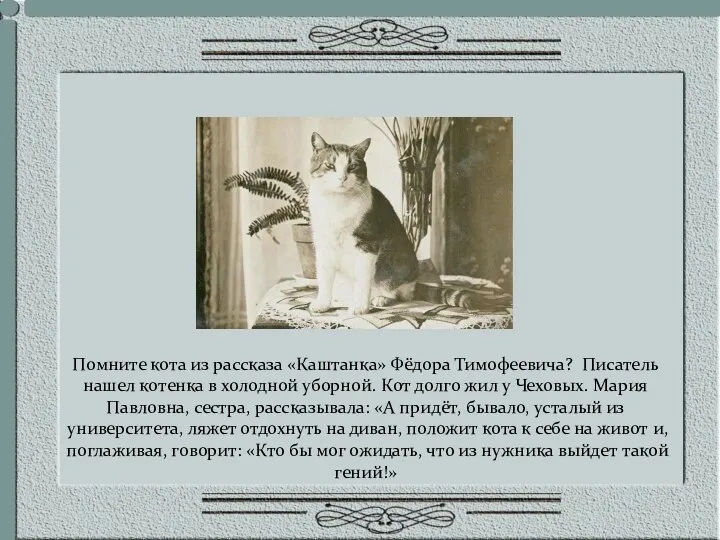 Помните кота из рассказа «Каштанка» Фёдора Тимофеевича? Писатель нашел котенка в холодной уборной.