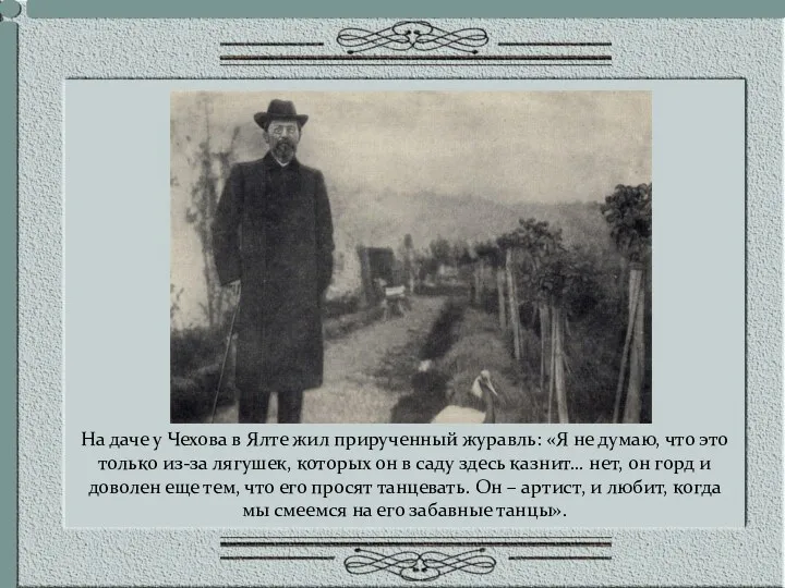 На даче у Чехова в Ялте жил прирученный журавль: «Я не думаю, что