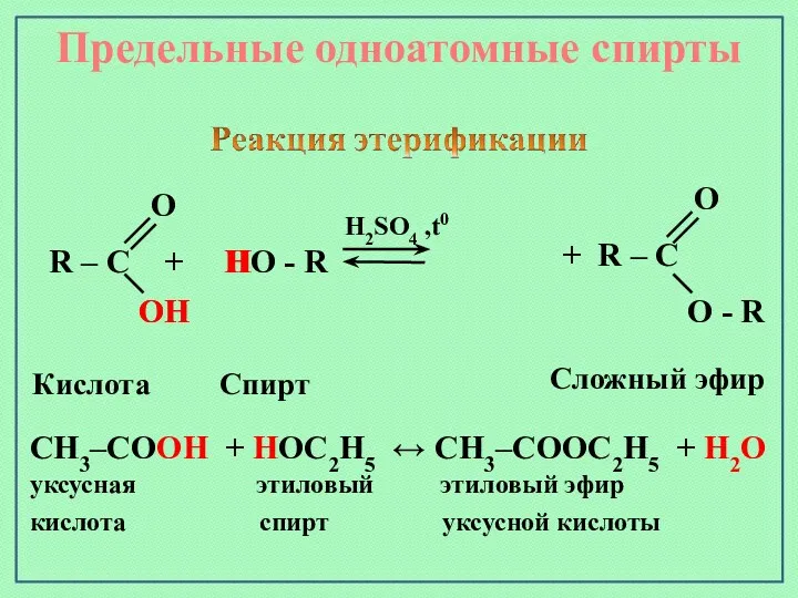 Предельные одноатомные cпирты R – C + HO - R