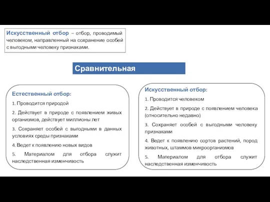 Искусственный отбор – отбор, проводимый человеком, направленный на сохранение особей