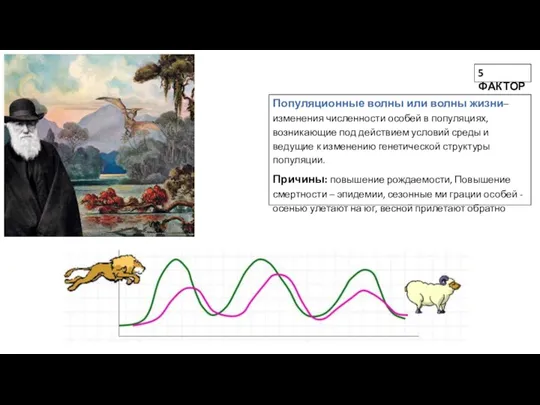 Популяционные волны или волны жизни– изменения численности особей в популяциях,