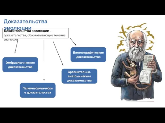 Доказательства эволюции – доказательства, обосновывающие течение эволюции. Доказательства эволюции Палеонтологические