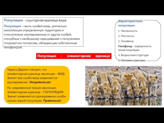 Популяция – структурная единица вида Популяция – часть особей вида,