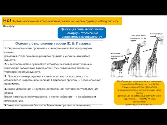 Но! Первая эволюционная теория принадлежала не Чарльзу Дарвину, а Жану