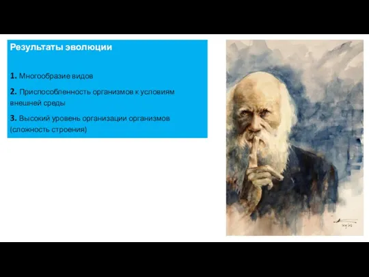 Результаты эволюции 1. Многообразие видов 2. Приспособленность организмов к условиям