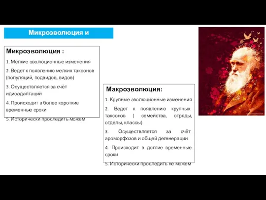 Макроэволюция: 1. Крупные эволюционные изменения 2. Ведет к появлению крупных