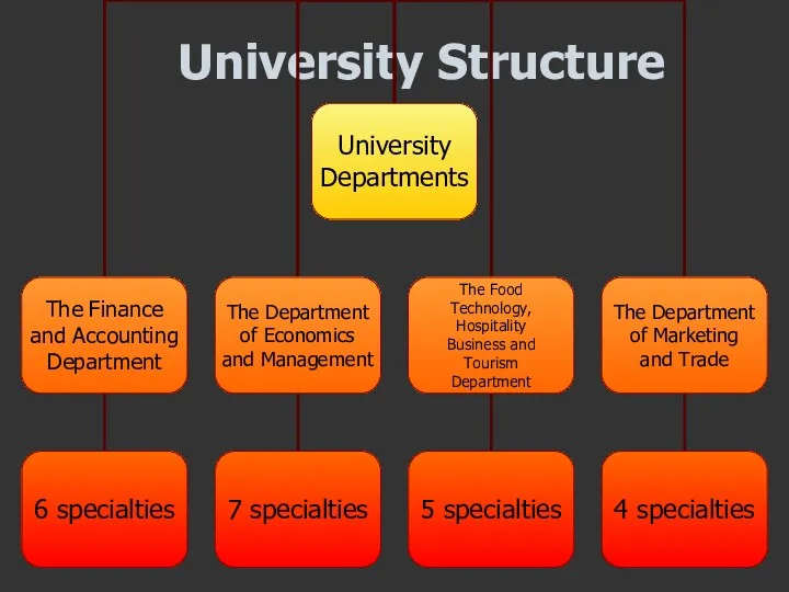 University Structure