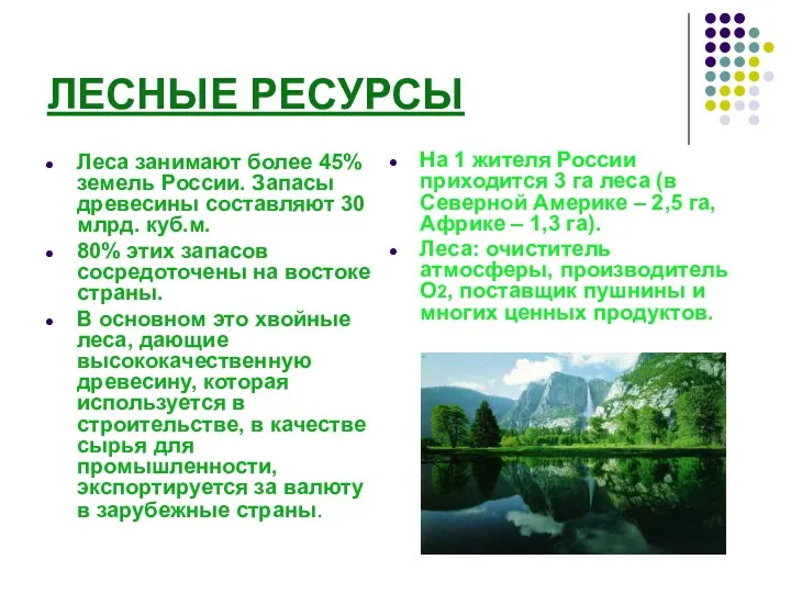 ЛЕСНЫЕ РЕСУРСЫ Леса занимают более 45% земель России. Запасы древесины