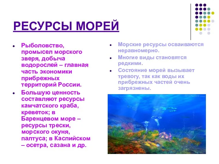 РЕСУРСЫ МОРЕЙ Рыболовство, промысел морского зверя, добыча водорослей – главная