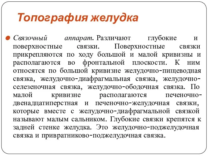 Топография желудка Связочный аппарат. Различают глубокие и поверхностные связки. Поверхностные