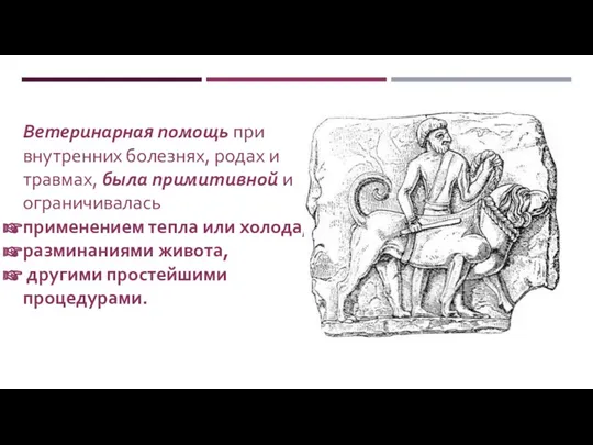 Ветеринарная помощь при внутренних болезнях, родах и травмах, была примитивной и ограничивалась применением