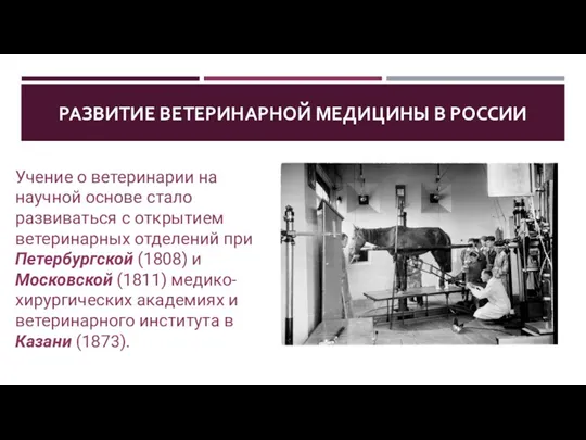РАЗВИТИЕ ВЕТЕРИНАРНОЙ МЕДИЦИНЫ В РОССИИ Учение о ветеринарии на научной основе стало развиваться