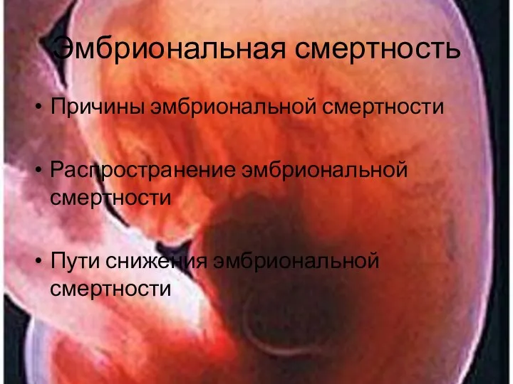 Эмбриональная смертность Причины эмбриональной смертности Распространение эмбриональной смертности Пути снижения эмбриональной смертности
