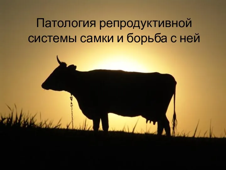 Патология репродуктивной системы самки и борьба с ней