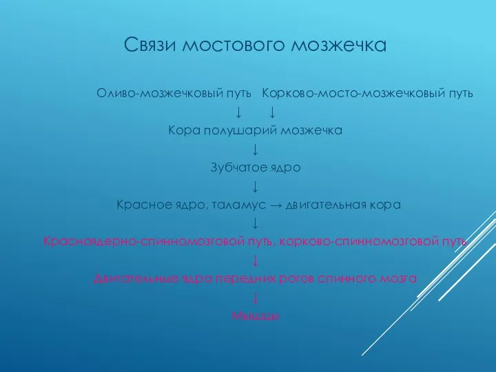 Связи мостового мозжечка Оливо-мозжечковый путь Корково-мосто-мозжечковый путь ↓ ↓ Кора полушарий мозжечка ↓