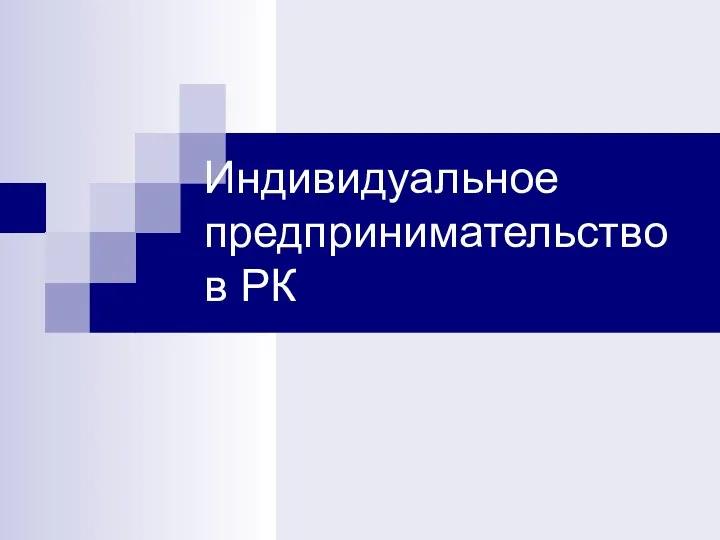 Индивидуальное предпринимательство в РК