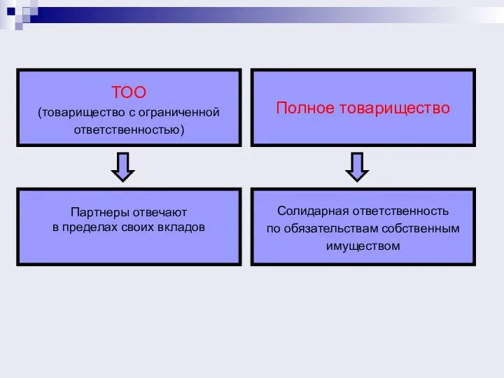 ТОО (товарищество с ограниченной ответственностью) Полное товарищество Партнеры отвечают в