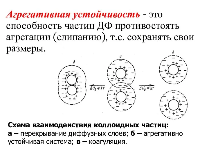 Схема взаимодействия коллоидных частиц: а – перекрывание диффузных слоев; б – агрегативно устойчивая