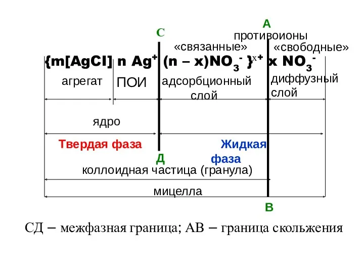 агрегат ПОИ адсорбционный диффузный слой слой противоионы ядро коллоидная частица (гранула) мицелла {m[AgCI]