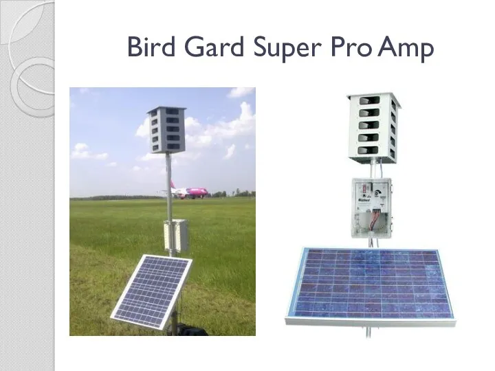 Bird Gard Super Pro Amp