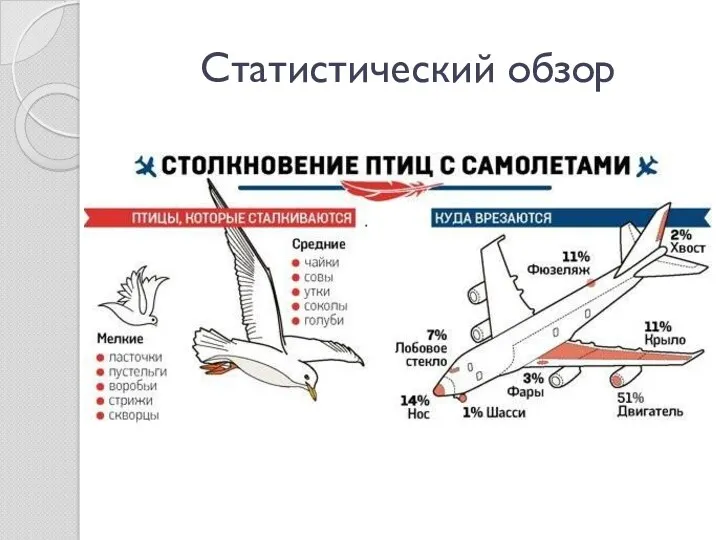 Статистический обзор