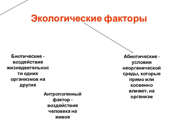 Биотические - воздействие жизнедеятельности одних организмов на другие Экологические факторы