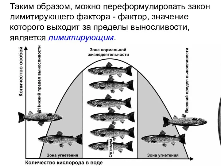 Таким образом, можно переформулировать закон лимитирующего фактора - фактор, значение