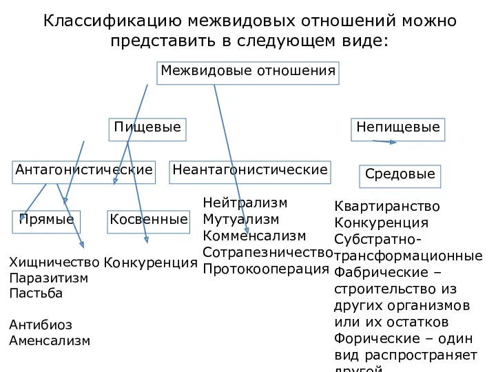 Классификацию межвидовых отношений можно представить в следующем виде: Межвидовые отношения