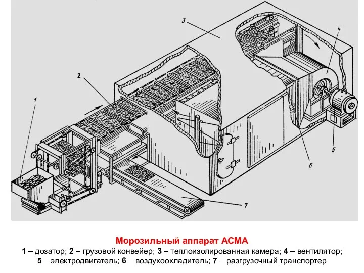 Морозильный аппарат АСМА 1 – дозатор; 2 – грузовой конвейер;