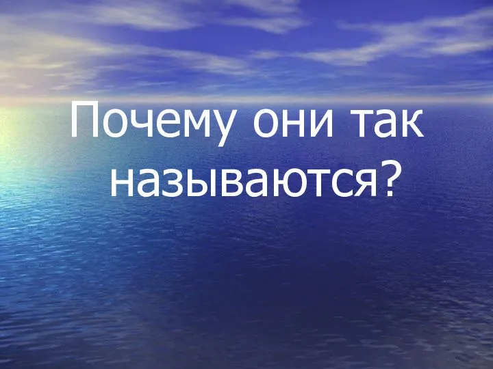 Почему они так называются?